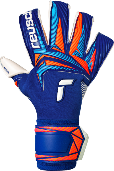 Reusch Attrakt Gold X Evolution 5670964 4126 blau front